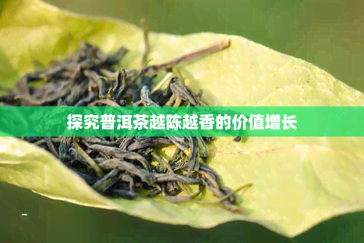 探究普洱茶越陈越香的价值增长