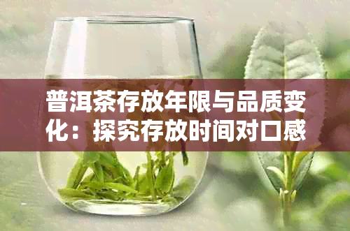 普洱茶存放年限与品质变化：探究存放时间对口感与价值的影响
