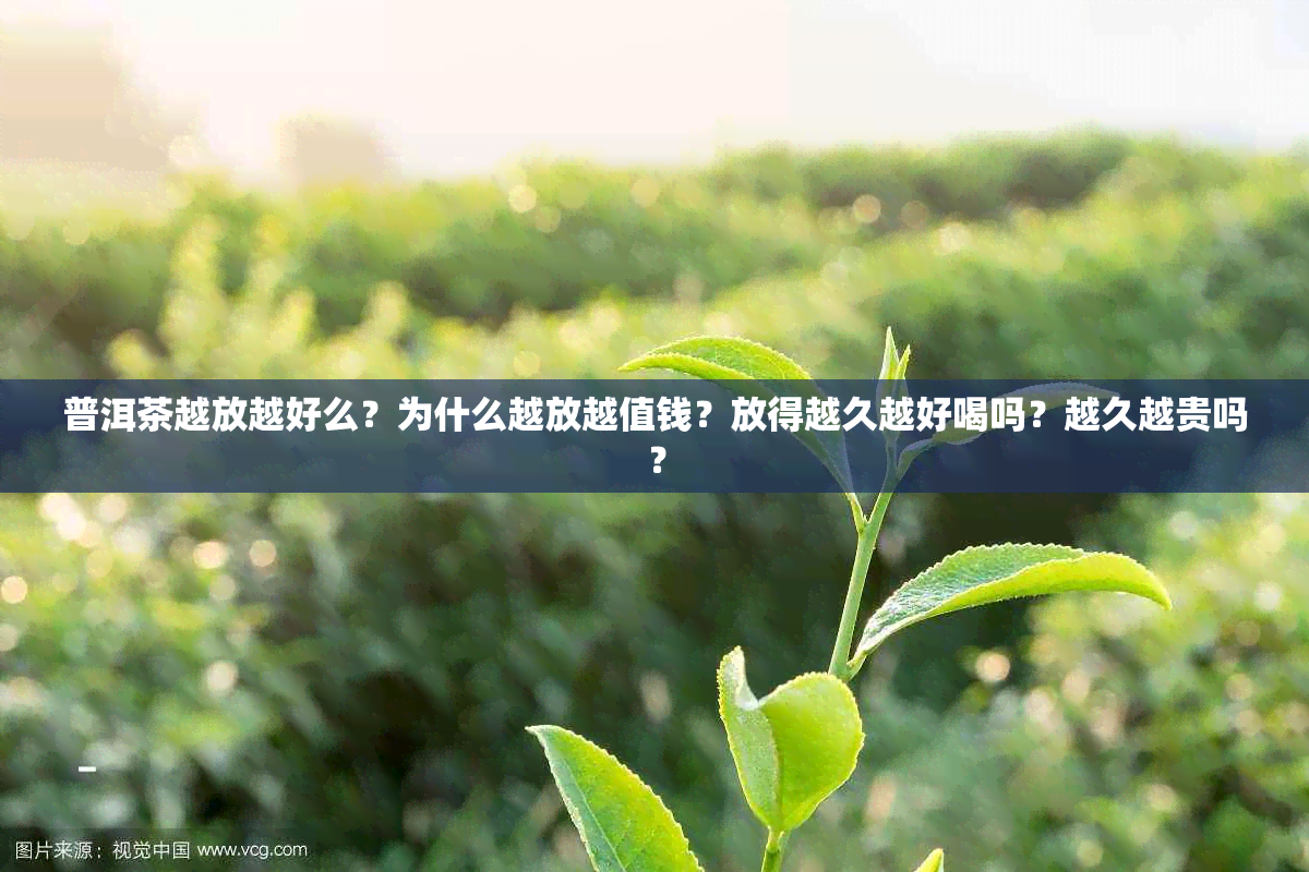 普洱茶越放越好么？为什么越放越值钱？放得越久越好喝吗？越久越贵吗？