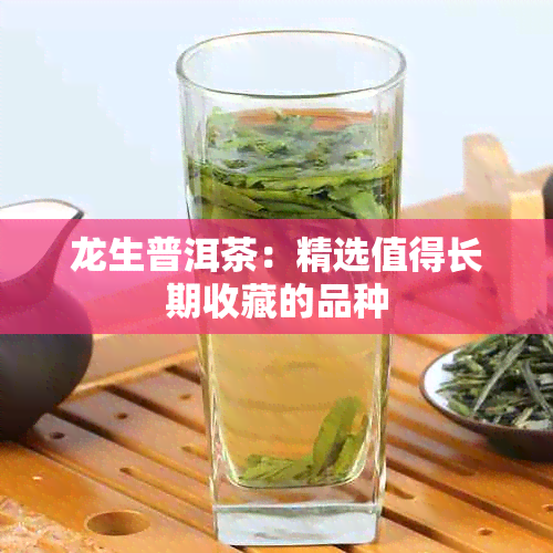 龙生普洱茶：精选值得长期收藏的品种