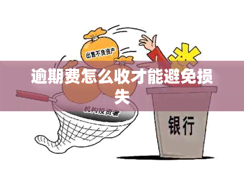 逾期费怎么收才能避免损失