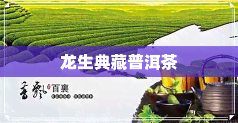 龙生典藏普洱茶