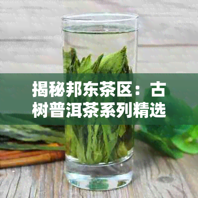 揭秘邦东茶区：古树普洱茶系列精选盘点