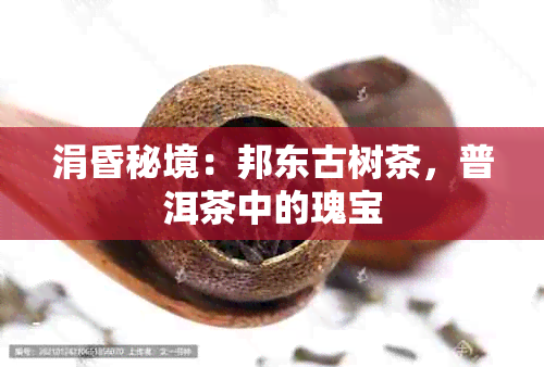 涓昏秘境：邦东古树茶，普洱茶中的瑰宝