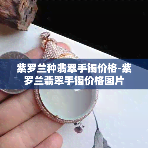 紫罗兰种翡翠手镯价格-紫罗兰翡翠手镯价格图片