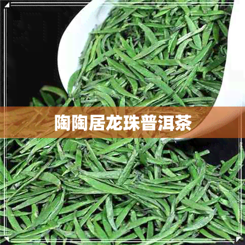 陶陶居龙珠普洱茶