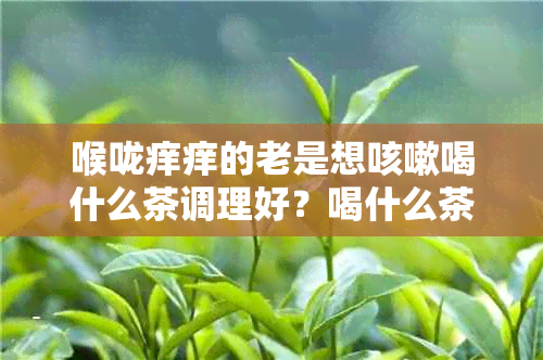 喉咙痒痒的老是想咳嗽喝什么茶调理好?喝什么茶调理?喝什么茶好?