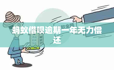 蚂蚁网贷逾期一年无力偿还