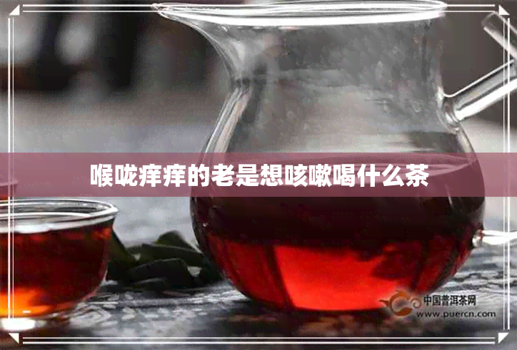 喉咙痒痒的老是想咳嗽喝什么茶 喉咙痒痒的老是想咳嗽喝什么茶
