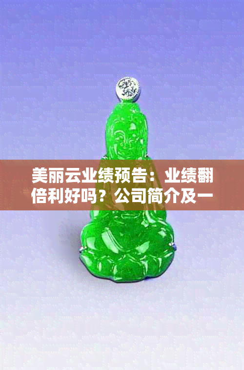 美丽云业绩预告：业绩翻倍利好吗？公司简介及一览