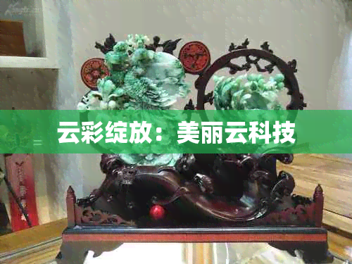 云彩绽放：美丽云科技