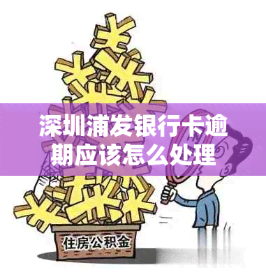 深圳浦发银行卡逾期应该怎么处理