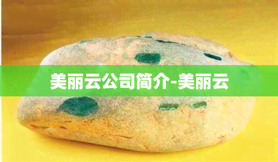 美丽云公司简介-美丽云