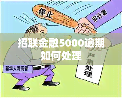 招联金融5000逾期如何处理