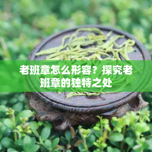 老班章怎么形容？探究老班章的独特之处
