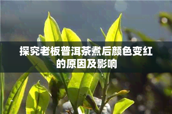 探究老板普洱茶煮后颜色变红的原因及影响