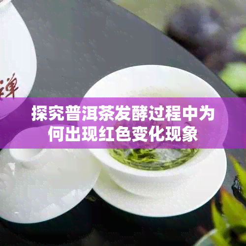 探究普洱茶发酵过程中为何出现红色变化现象