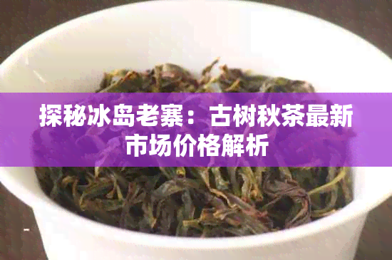 探秘冰岛老寨：古树秋茶最新市场价格解析