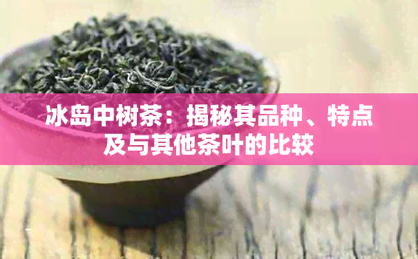 冰岛中树茶：揭秘其品种、特点及与其他茶叶的比较