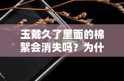 玉戴久了里面的棉絮会消失吗?为什么?怎么办?