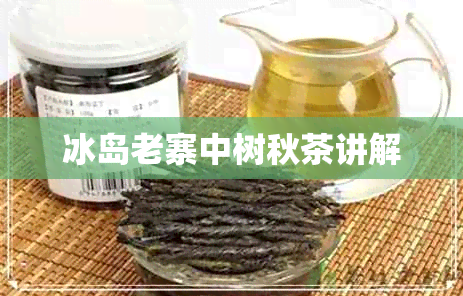 冰岛老寨中树秋茶讲解