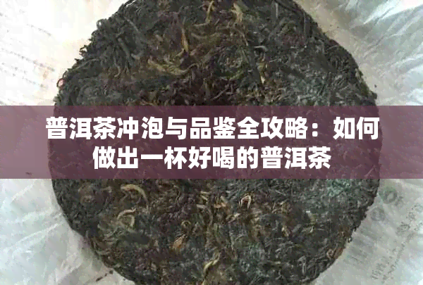 普洱茶冲泡与品鉴全攻略：如何做出一杯好喝的普洱茶