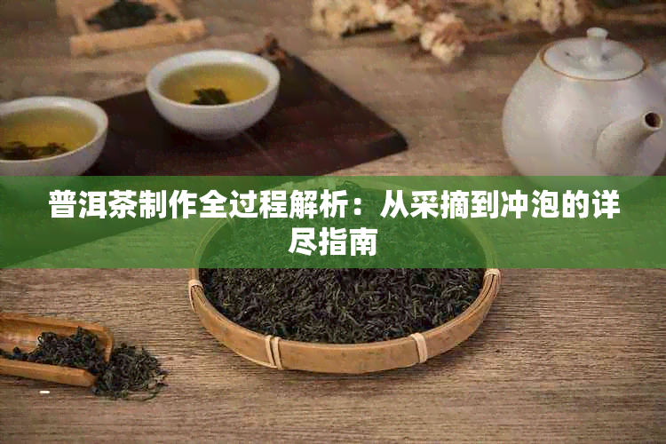 普洱茶制作全过程解析：从采摘到冲泡的详尽指南