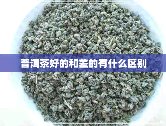 普洱茶好的和差的有什么区别 普洱茶好的和差的有什么区别