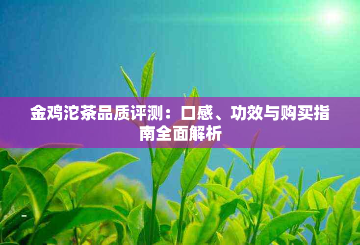 金鸡沱茶品质评测：口感、功效与购买指南全面解析