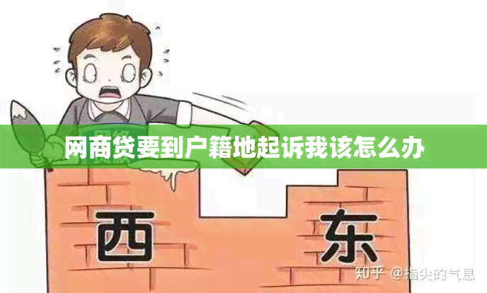 网贷要到户籍地起诉我该怎么办