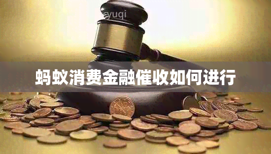 蚂蚁消费金融如何进行