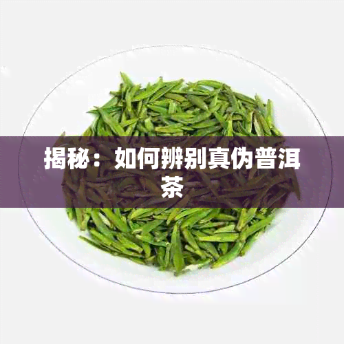 揭秘：如何辨别真伪普洱茶