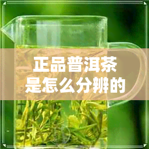 正品普洱茶是怎么分辨的