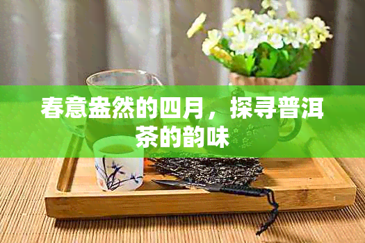 春意盎然的四月，探寻普洱茶的韵味