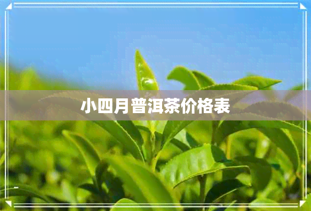 小四月普洱茶价格表 小四月普洱茶价格表