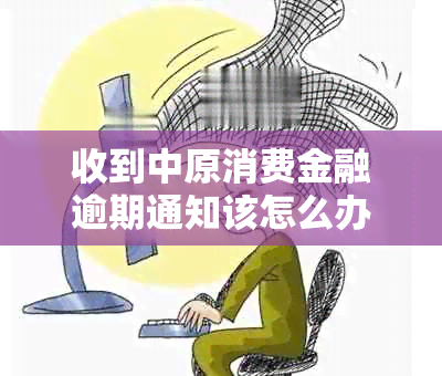 收到中原消费金融逾期通知该怎么办