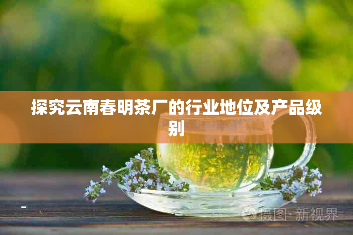 探究云南春明茶厂的行业地位及产品级别