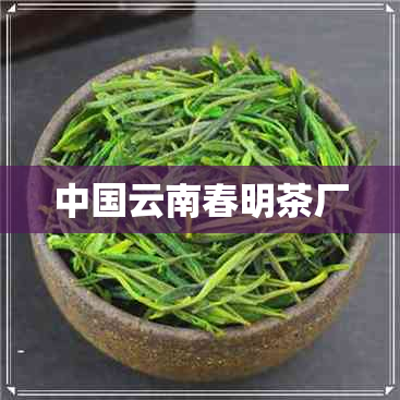中国云南春明茶厂
