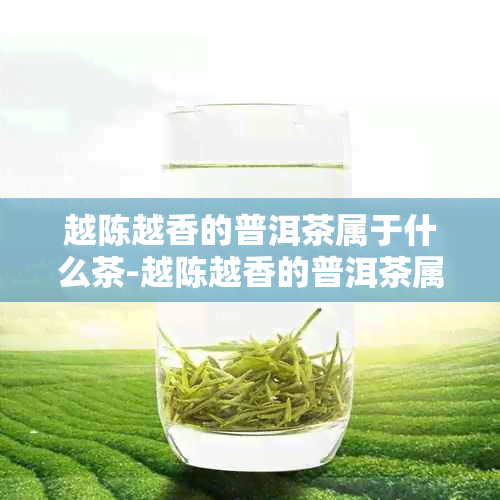 越陈越香的普洱茶属于什么茶-越陈越香的普洱茶属于什么茶类