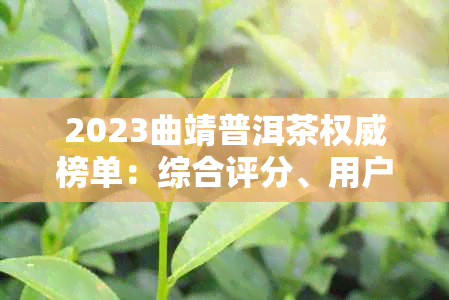 2023曲靖普洱茶权威榜单：综合评分、用户口碑与市场占有率全解析