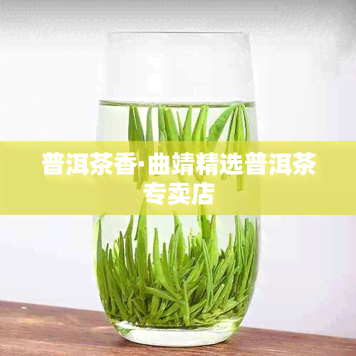普洱茶香·曲靖精选普洱茶专卖店