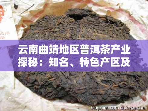 云南曲靖地区普洱茶产业探秘：知名、特色产区及选购指南