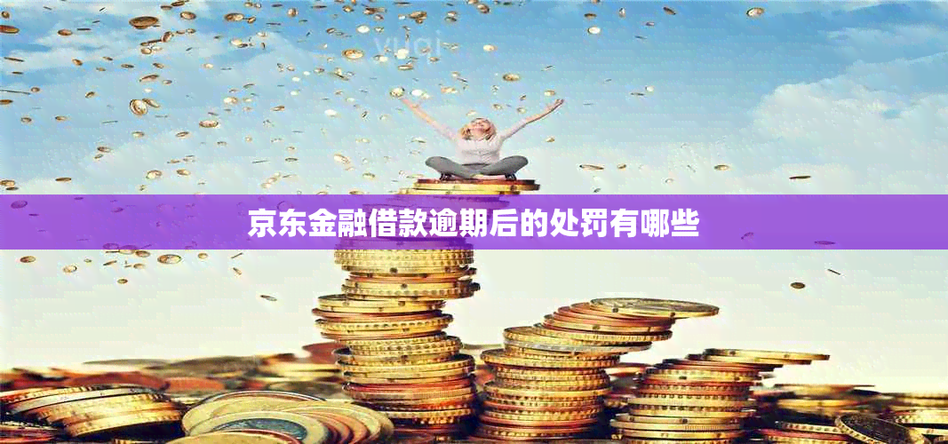 京东金融借款逾期后的处罚有哪些