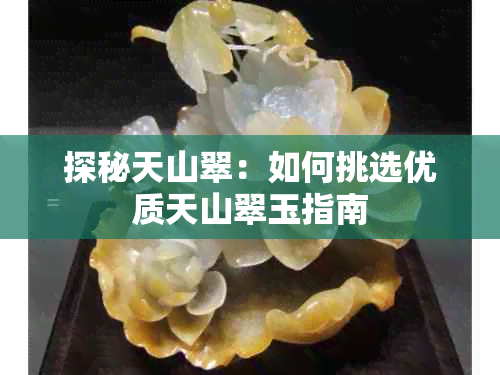 探秘天山翠：如何挑选优质天山翠玉指南