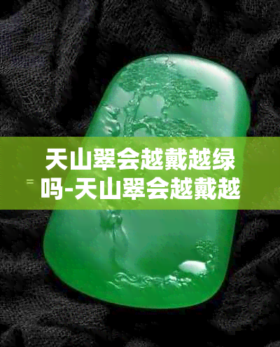 天山翠会越戴越绿吗-天山翠会越戴越亮吗