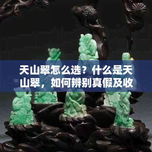 天山翠怎么选？什么是天山翠，如何辨别真假及收藏价值探讨
