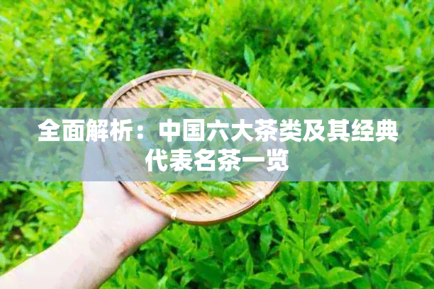 全面解析:中国六大茶类及其经典代表名茶一览