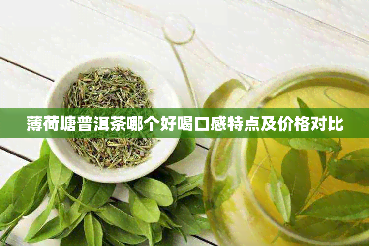 薄荷塘普洱茶哪个好喝口感特点及价格对比