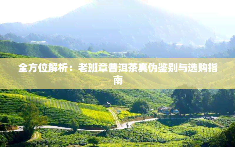 全方位解析:老班章普洱茶真伪鉴别与选购指南