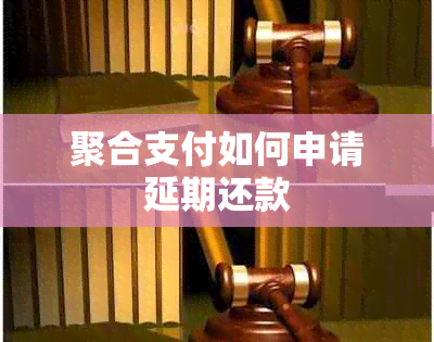 聚合支付如何申请延期还款
